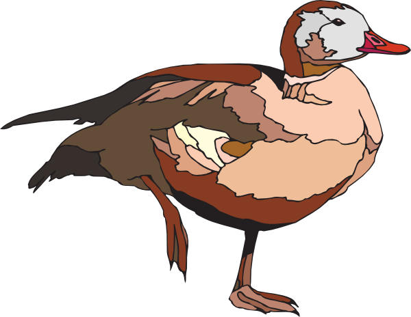 Duck On One Foot Clip Art at Clker.com - vector clip art online